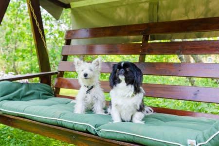 Poppelstrand Nuuksio, Pet Friendly Guest Apartment Eksteriør billede